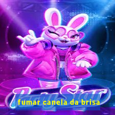 fumar canela da brisa